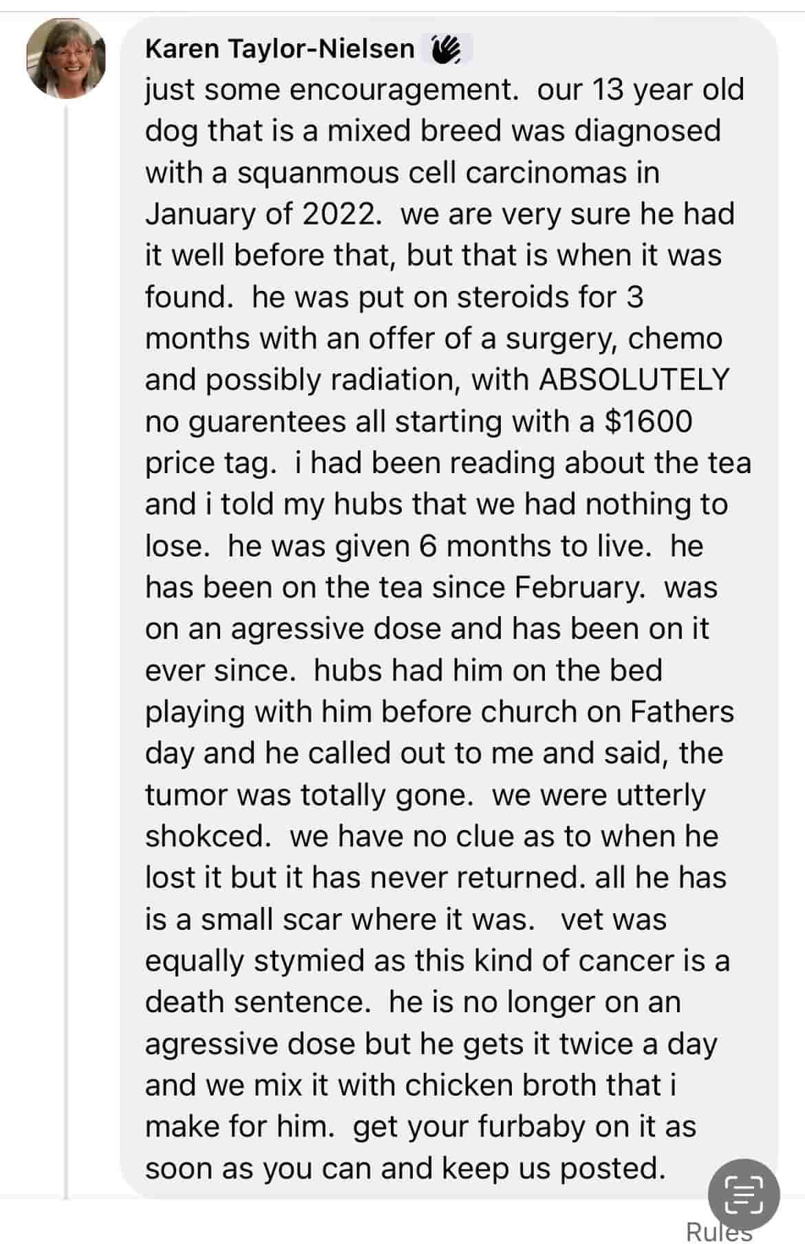 squamous cell carcinoma dog